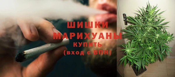 каннабис Алзамай