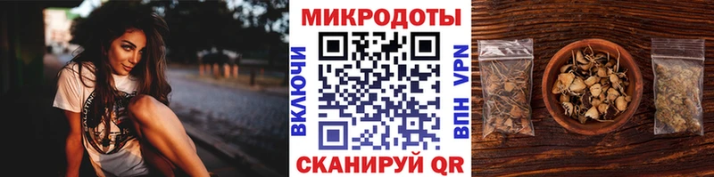 наркотики  Коломна  Галлюциногенные грибы Psilocybe 